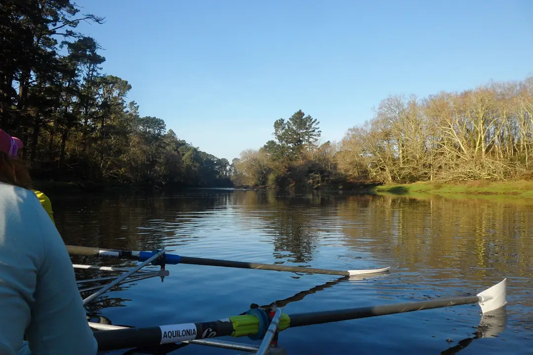Un environnement idéal pour l'aviron : l'Odet
